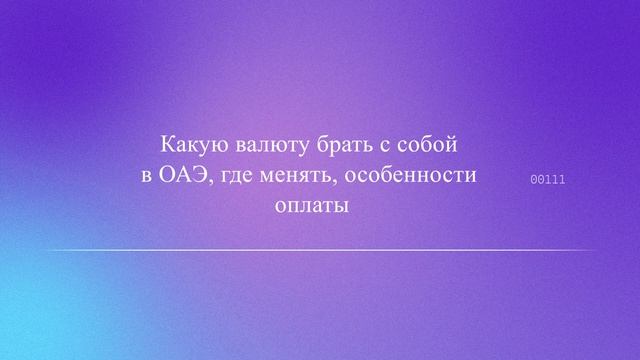 Какую валюту брать с собой в ОАЭ, где менять, особенности оплаты
