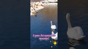 YouCut_20260505_151626567.mp4