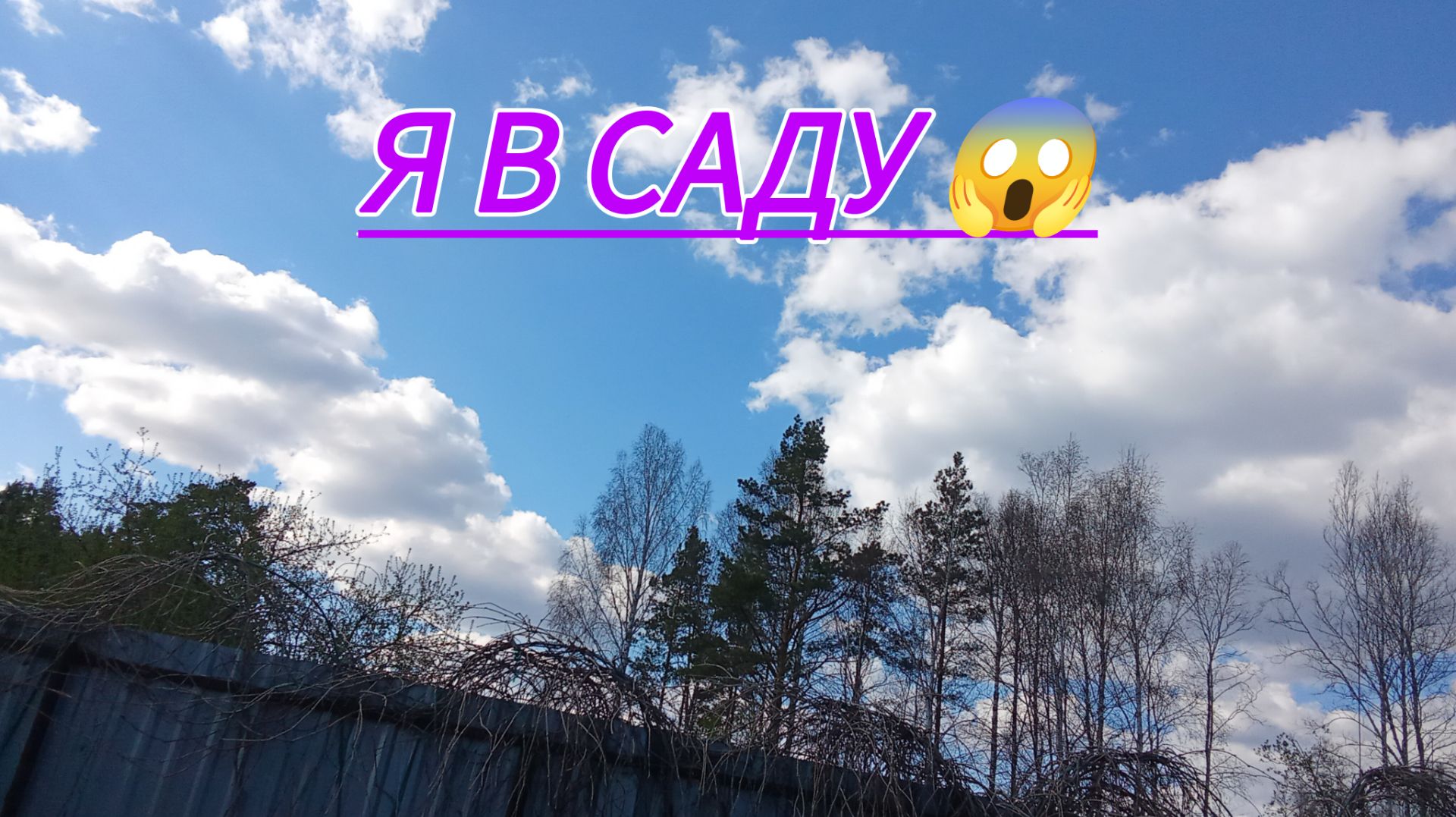 Я в саду. Экскурсия по саду. Гнездо птицы