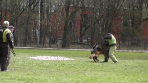 05-02-2026_ЧР по БРР Группа Б Третий участник 4 этап