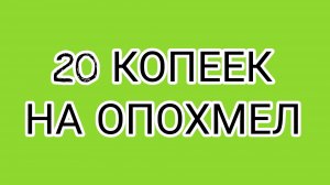Жизнь ДОМОСЕРА на копеечные донаты