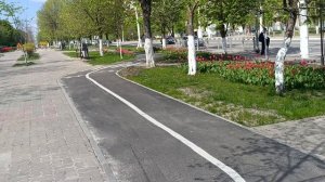 Голландские тюльпаны в Белгороде сегодня. 05.05.26