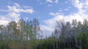 5 мая 2026 года