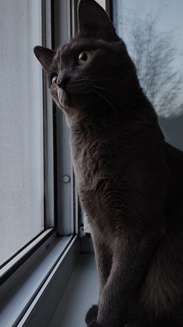 Познакомьтесь, Кузя❤️