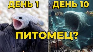 Я завел домашнего БЛУПА ( он уничтожит все живое)