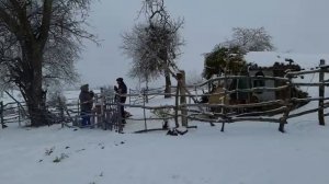 Готовим бургер из баранины.
