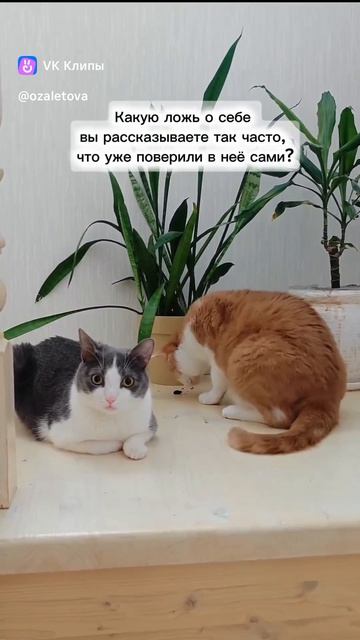 Вопрос назасыпку