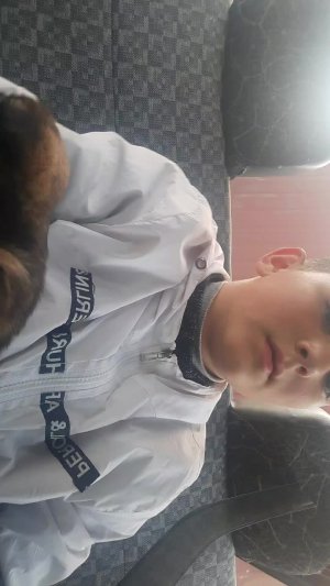 гладим щенят