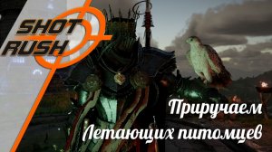 Crimson Desert: Как приручать птичек - Летающие питомцы