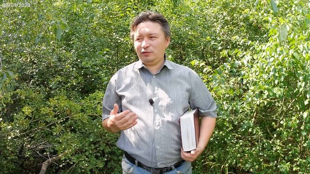Благодать и закон