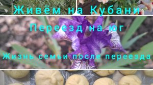 1-3 мая/ Высадили рассаду/ Малины много не бывает😊/ Шашлыки/ Заготовки/ Живём и работаем на Кубани/
