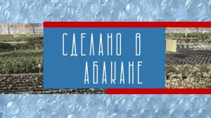 Сделано в Абакане : вкусно и с любовью