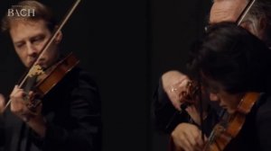 J. S. Bach - Oboe Concerto In F Major. BWV 1053R