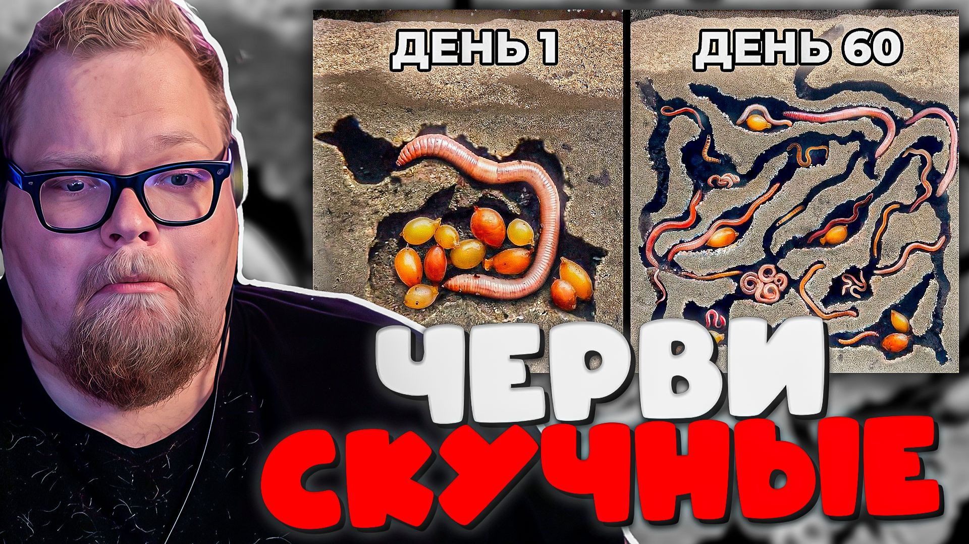 РЕАКЦИЯ T2X2: Он заселил ЧЕРВЕЙ в стеклянный дом… и всё вышло из-под контроля за 60 дней