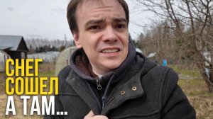 Что делать на даче весной после зимы? Уборка участка, побелка деревьев и первые цветы
