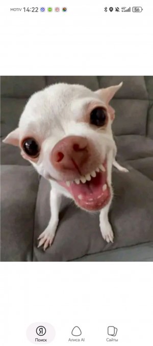 р