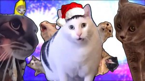 ДЖИНГЛ БЕЛС НО ЭТО МЕМЫ С КОТАМИ!!! Анимация