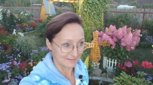 Видео привет с 6 соток из 10 сентября 2021 года