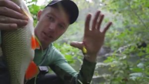 ВСЁ БЫЛО ХОРОШО, НО ТУТ ПРОИЗОШЛО СТРАШНОЕ И РУКИ В КРОВИ! Рыбалка на лесной реке