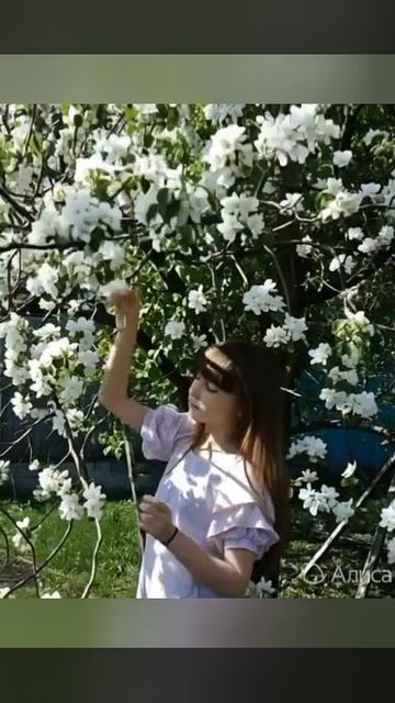 Совсем скоро зацветут яблони и наступит долгожданное лето 🌳🌴🌹🌷🌾🌸🌞