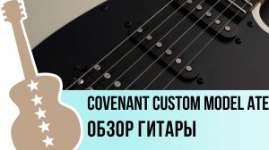 Covenant CUSTOM MODEL ATE - обзор гитары