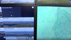 В Свердловской области для защиты от лесных пожаров тестируют систему грозопеленгации