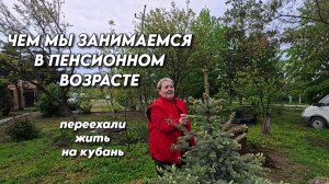 1140 Жизнь семьи на Кубани/Интересные моменты из нашей жизни/Переехали жить на юг России