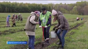 В рамках акции «Сад памяти» в Кармаскалинском районе высадили тысячи молодых деревьев