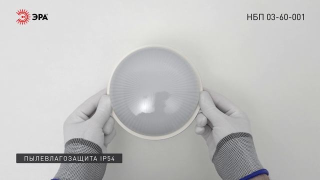 Светильник ЭРА НБП 03-60-001