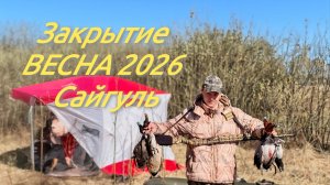 Охота на селезня! закрытие весна 2026