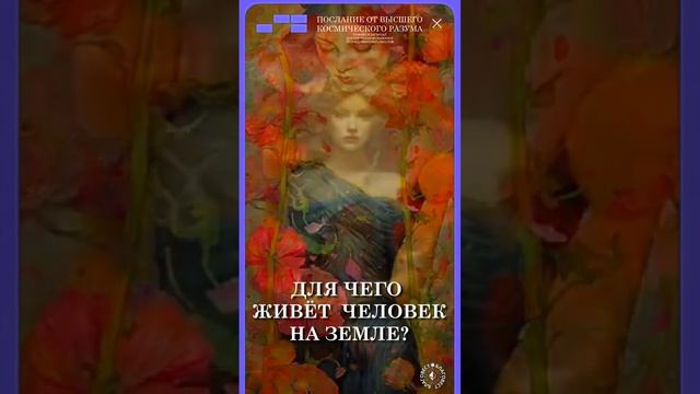 #БлагоВест ✴ ДЛЯ ЧЕГО ЖИВЁТ ЧЕЛОВЕК НА ЗЕМЛЕ_