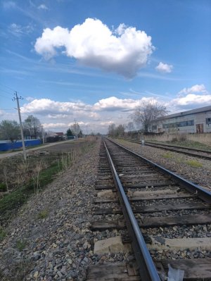 красота мира