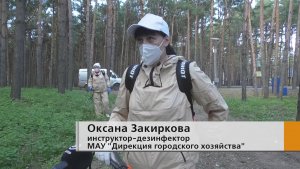 Каждый седьмой клещ в Татарстане заражён боррелиозом