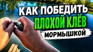 Плохой клёв? сейчас победим! карась, плотва и краснопёрка - поддаются уловкам .