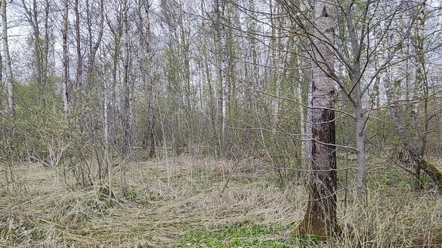 ЗУ:196293 д.Вертлино смотреть онлайн