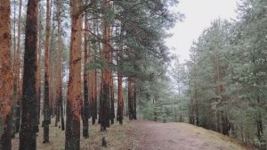 Возраст и образование - это не гарантия порядочности человека