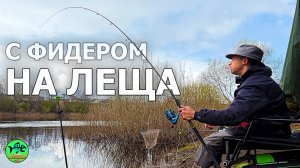 ТАКИЕ ТРОФЕИ В ЗАТОПЛЕННЫХ КУСТАХ! ЗДОРОВЫЕ ЛЕЩИ. Рыбалка на ФИДЕР.