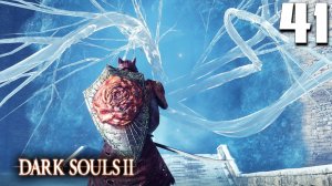 НЕЗАБЫВАЕМЫЕ ОЩУЩЕНИЯ (41) ► Dark Souls 2