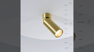 Светильник Maytoni Focus LED C055CL-L12W4K-W-BS