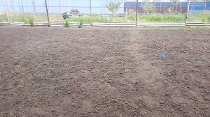 огородные дела,закупили товар для штукатурки