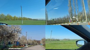 4 мая.Съездили в город. Какая улица нарядная.Посадила капусту и буряк красный.