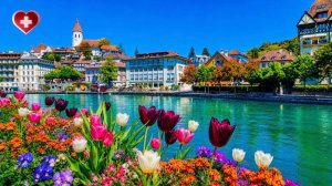 Switzerland, Thun - Emerald Waters, River Surfing & Perfect Summer Vibes