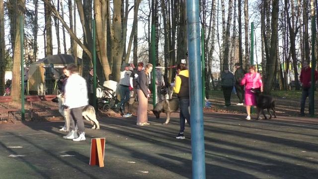 Класс юниоров смотреть онлайн
