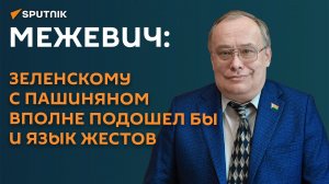 Могли бы и на языке жестов: Межевич о нюансах переговоров Зеленского с Пашиняном