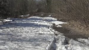 Пробный вывод ранних маток в улье Удав