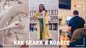 Как белка в колесе | Женщины обленились? | Интересная развивашка | Работаем- ВЛОГ №3933 - 04.05.26