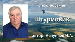 стихотворение «Штурмовик» читает автор: Нечунаев Н. А.
