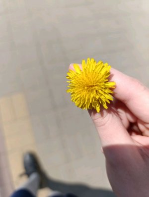 ухаживает за волосами!