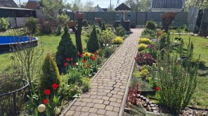 Дача в начале  мая всё ярче и краше🌞🌸.Наполняю кашпо грунтом. Начала высаживать цветы.