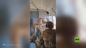 الفيلق الإفريقي ينشر لقطات لاستهداف مقاتلين في مالي